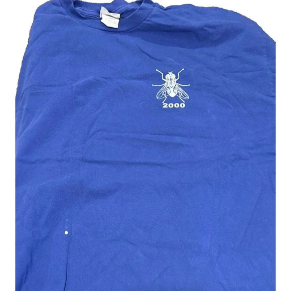 The Chicks- I Did The Chicks 2000 Vintage Dixie Chicks Fly Blue/white Size XL - Picture 5 of 9